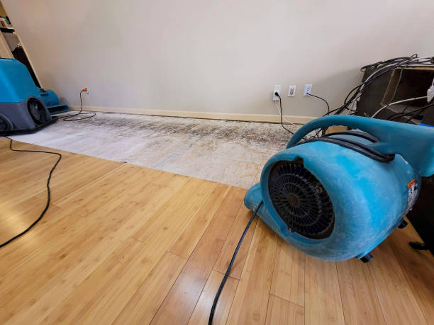 Professional Burst Pipe Water Damage technician working in Westhoff, TX